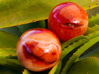 Polished Carnelian Agate Spheres x 3 From Madagascar