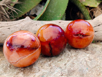Polished Carnelian Agate Spheres x 3 From Madagascar