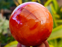 Polished Carnelian Agate Spheres x 3 From Madagascar
