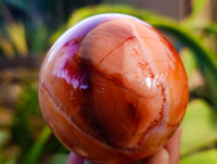 Polished Carnelian Agate Spheres x 3 From Madagascar