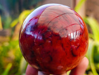 Polished Carnelian Agate Spheres x 3 From Madagascar