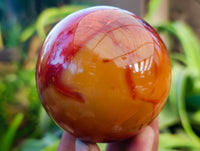 Polished Carnelian Agate Spheres x 3 From Madagascar