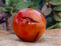 Polished Carnelian Agate Spheres x 3 From Madagascar
