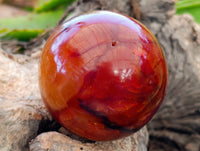Polished Carnelian Agate Spheres x 3 From Madagascar