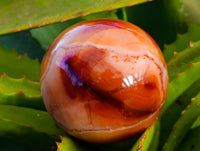 Polished Carnelian Agate Spheres x 3 From Madagascar