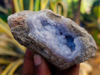 Natural Blue Lace Agate Geode Specimens x 12 From Nsanje, Malawi