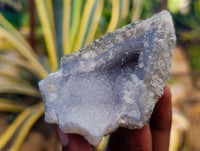 Natural Blue Lace Agate Geode Specimens x 12 From Nsanje, Malawi