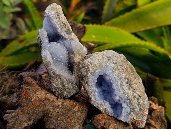 Natural Blue Lace Agate Geode Specimens x 12 From Nsanje, Malawi