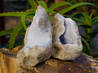 Natural Blue Lace Agate Geode Specimens x 12 From Nsanje, Malawi