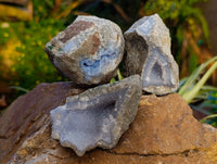 Natural Blue Lace Agate Geode Specimens x 12 From Nsanje, Malawi