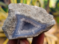 Natural Blue Lace Agate Geode Specimens x 12 From Nsanje, Malawi