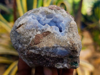 Natural Blue Lace Agate Geode Specimens x 12 From Nsanje, Malawi