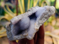 Natural Blue Lace Agate Geode Specimens x 12 From Nsanje, Malawi