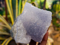 Natural Blue Lace Agate Geode Specimens x 12 From Nsanje, Malawi