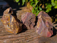Natural Nguni Jasper Cobbed Specimens x 12 From Prieska, South Africa - Toprock Gemstones and Minerals 
