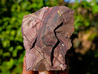 Natural Nguni Jasper Cobbed Specimens x 12 From Prieska, South Africa - Toprock Gemstones and Minerals 