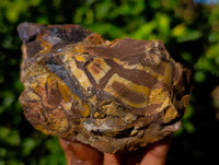 Natural Nguni Jasper Cobbed Specimens x 12 From Prieska, South Africa - Toprock Gemstones and Minerals 