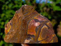 Natural Nguni Jasper Cobbed Specimens x 12 From Prieska, South Africa - Toprock Gemstones and Minerals 