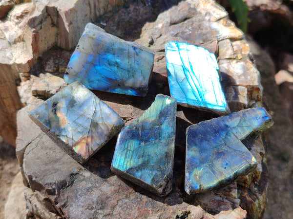 Polished On One Side Labradorite Plates x 28 From Tulear, Madagascar