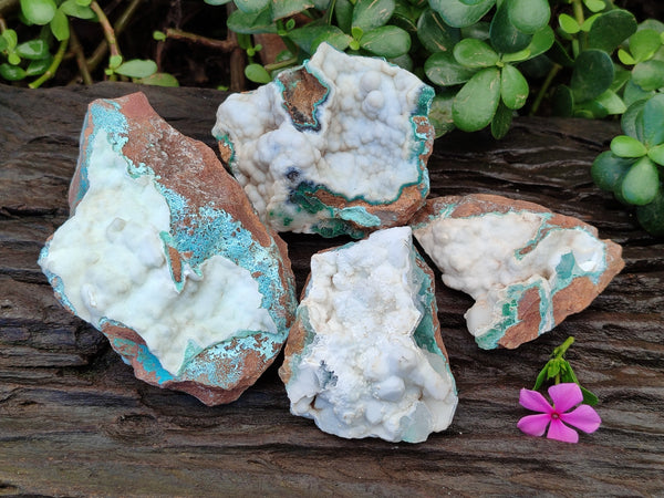 Natural Hemimorphite with Chrysocolla and Malachite Specimens x 4 From Congo