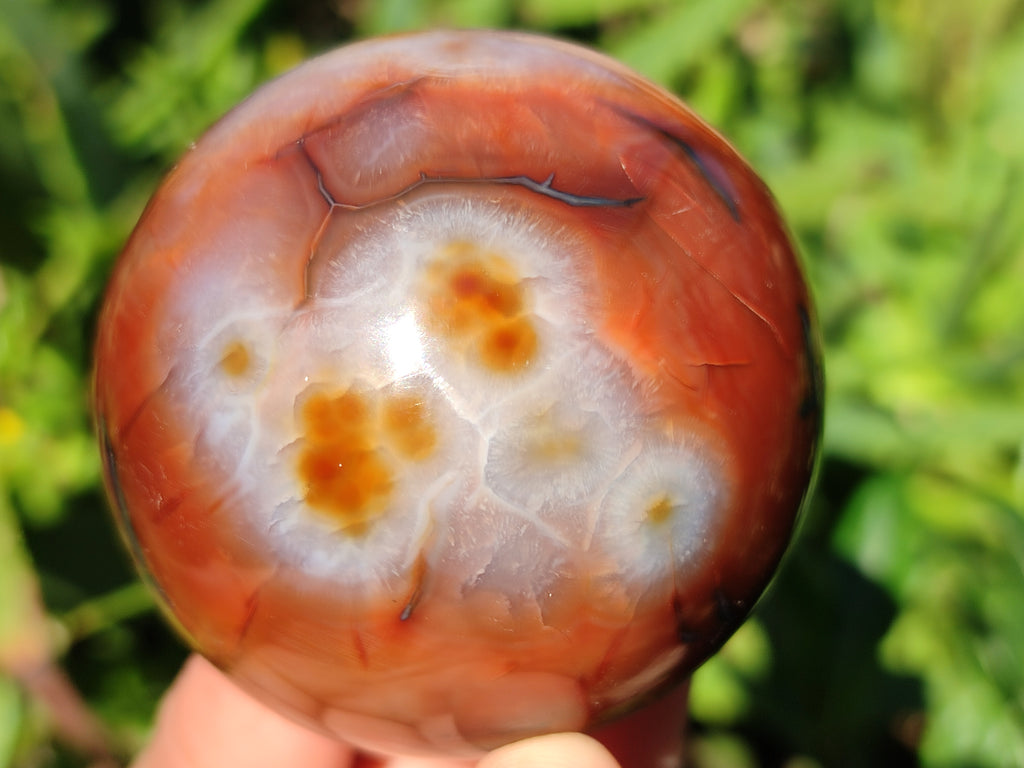 Polished Carnelian Agate Spheres x 6 From Madagascar - Toprock Gemstones and Minerals 