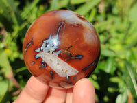 Polished Carnelian Agate Spheres x 6 From Madagascar