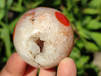 Polished Carnelian Agate Spheres x 6 From Madagascar