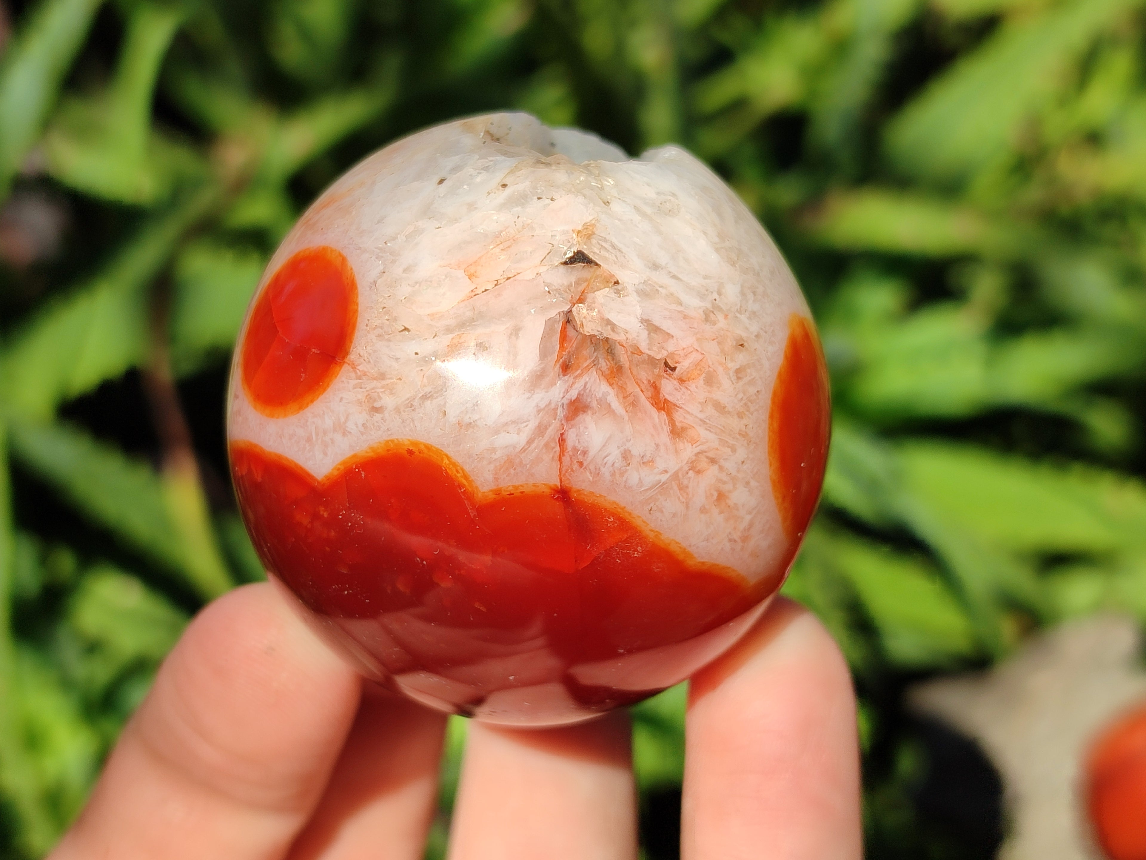 Polished Carnelian Agate Spheres x 6 From Madagascar - Toprock Gemstones and Minerals 