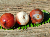 Polished Carnelian Agate Spheres x 6 From Madagascar