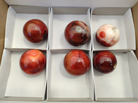 Polished Carnelian Agate Spheres x 6 From Madagascar