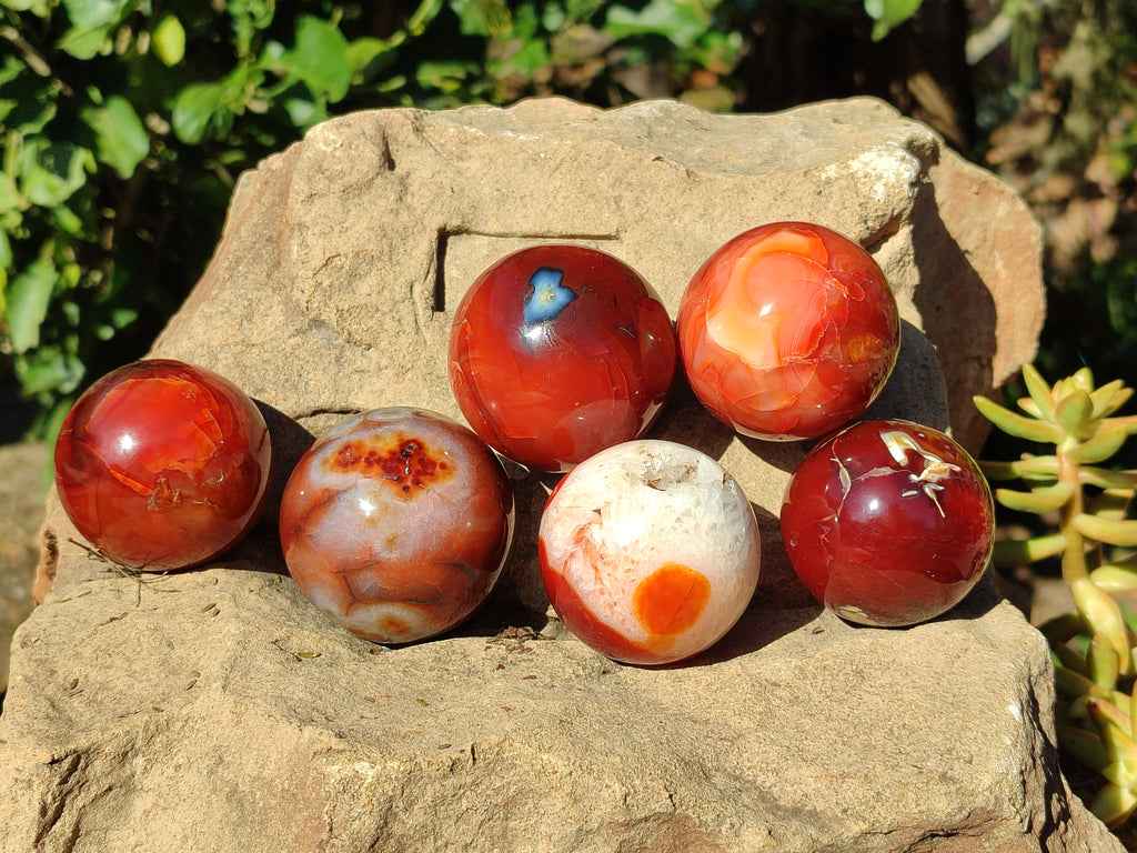 Polished Carnelian Agate Spheres x 6 From Madagascar - Toprock Gemstones and Minerals 