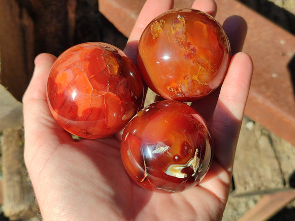 Polished Carnelian Agate Spheres x 6 From Madagascar