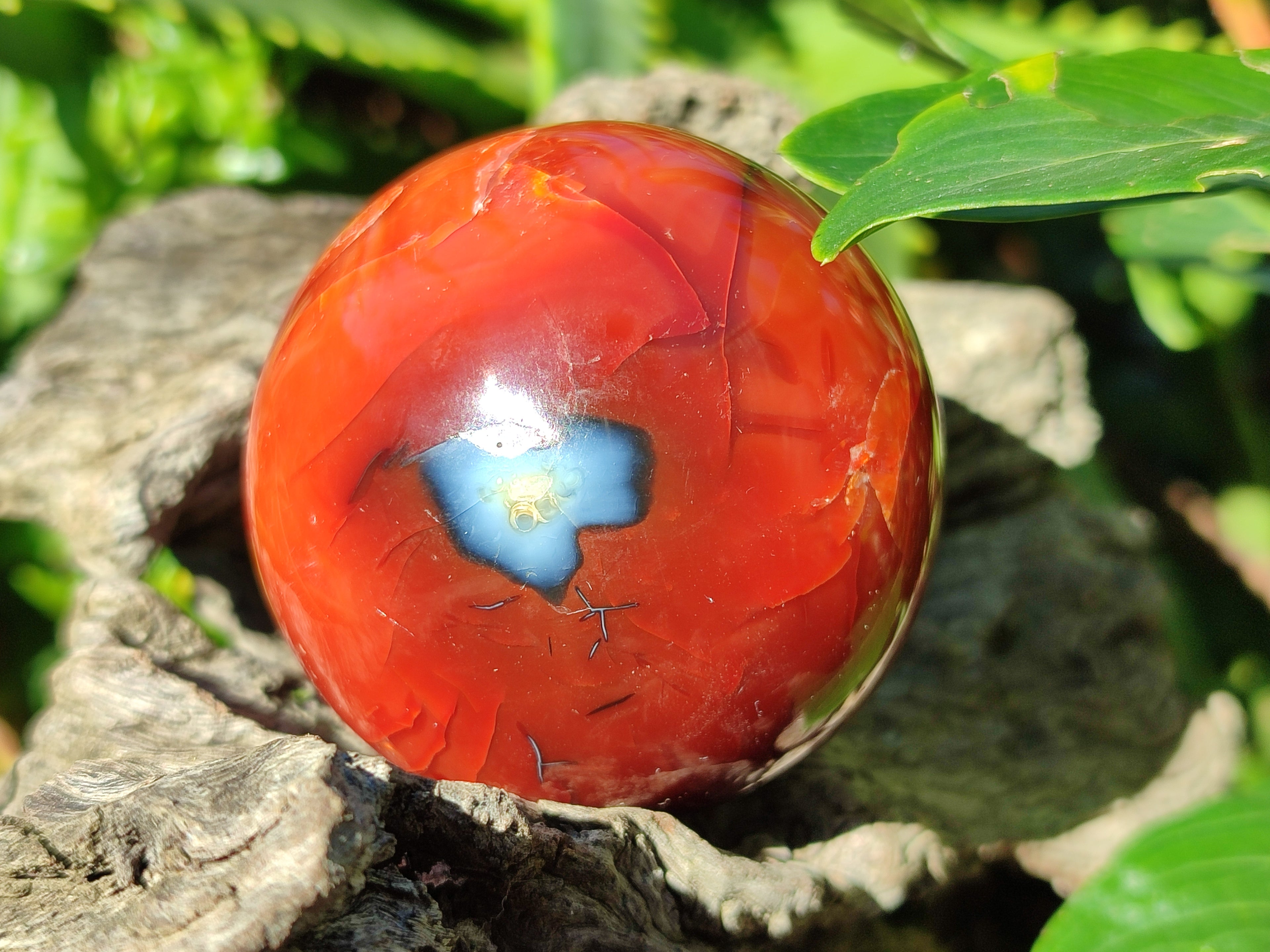 Polished Carnelian Agate Spheres x 6 From Madagascar - Toprock Gemstones and Minerals 