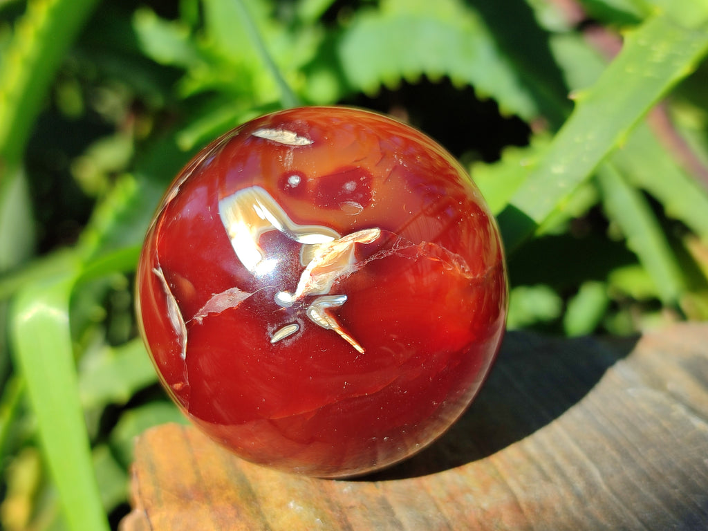 Polished Carnelian Agate Spheres x 6 From Madagascar - Toprock Gemstones and Minerals 