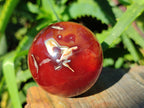 Polished Carnelian Agate Spheres x 6 From Madagascar - Toprock Gemstones and Minerals 