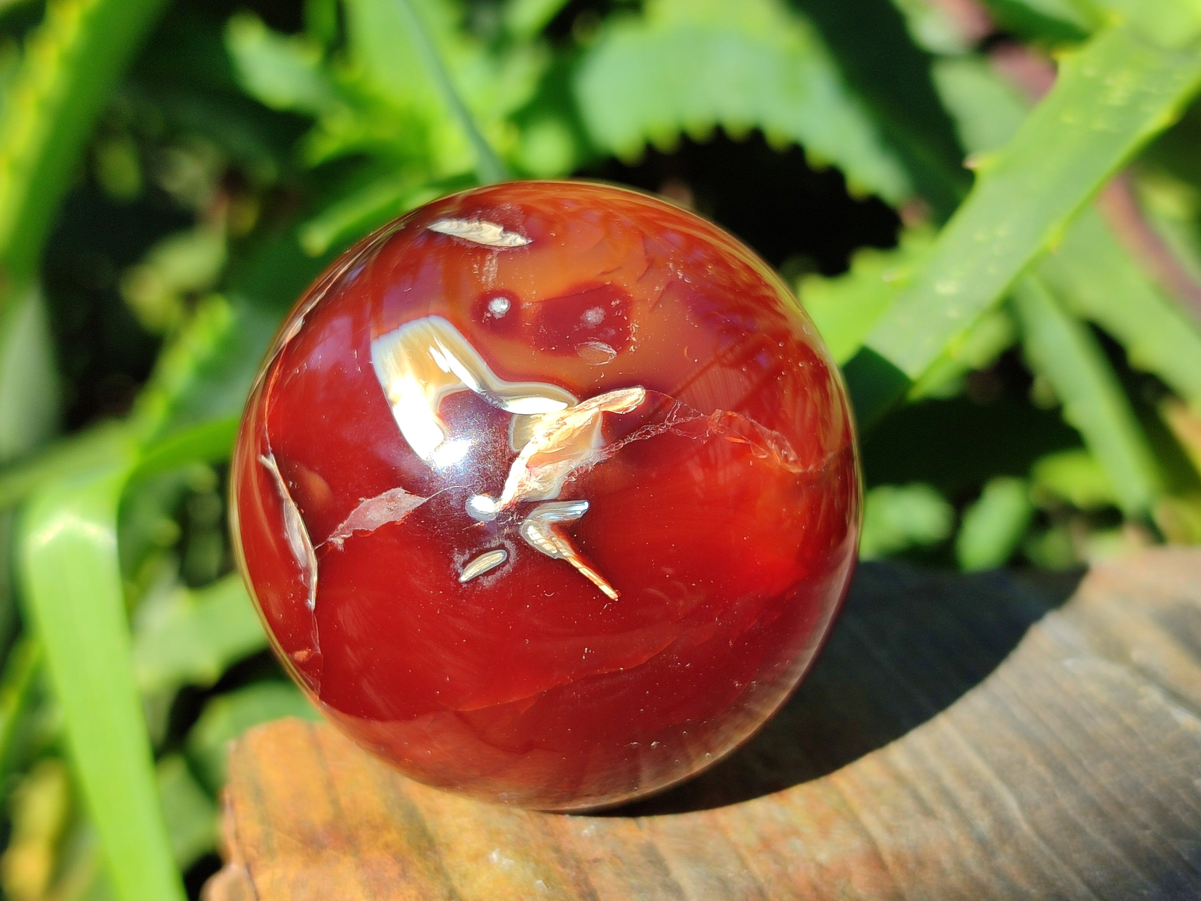 Polished Carnelian Agate Spheres x 6 From Madagascar - Toprock Gemstones and Minerals 