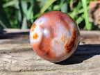 Polished Carnelian Agate Spheres x 6 From Madagascar - Toprock Gemstones and Minerals 