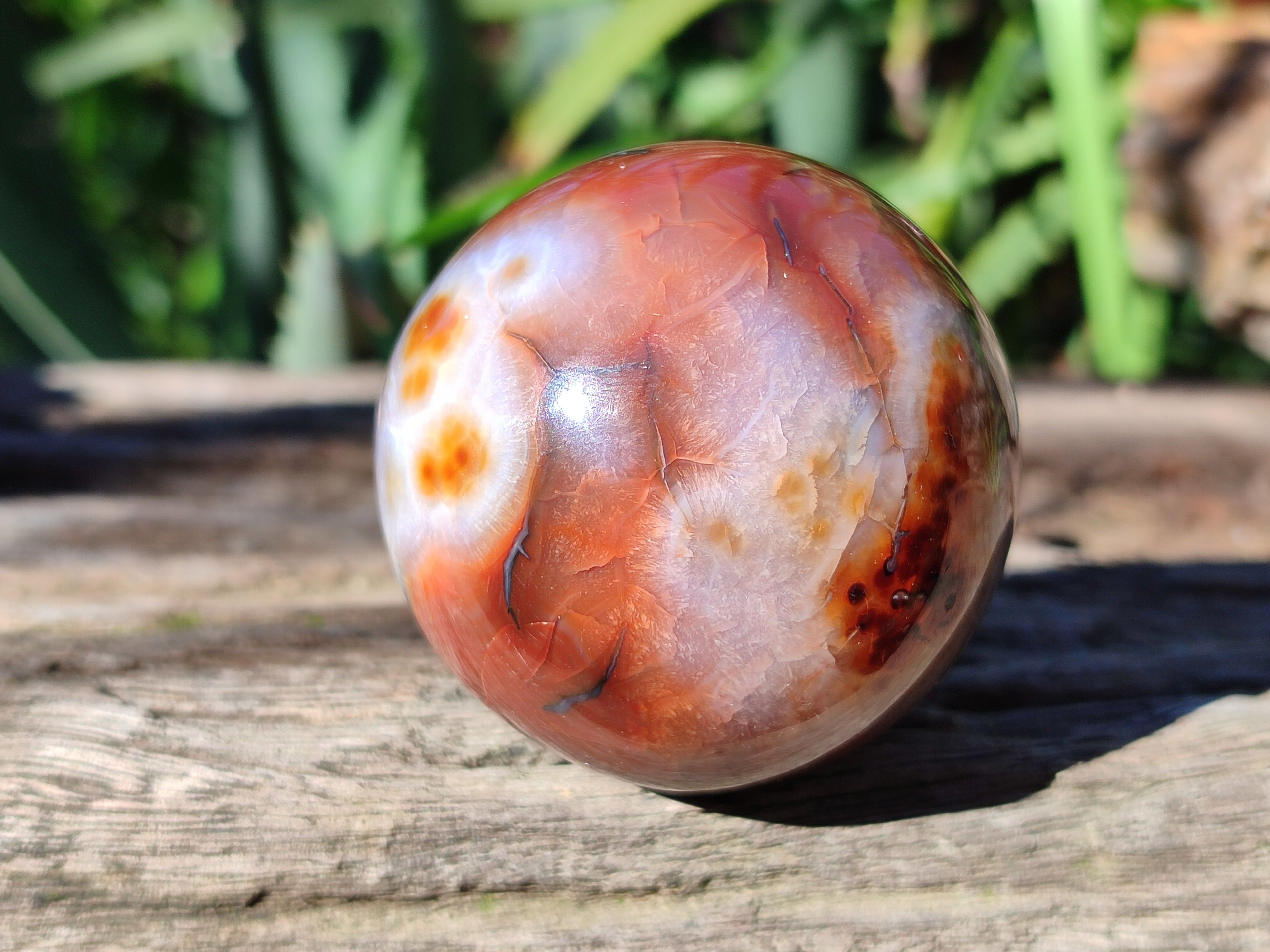 Polished Carnelian Agate Spheres x 6 From Madagascar - Toprock Gemstones and Minerals 
