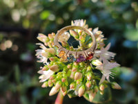 Polished Selection of 9 Carat Gold Plated Faceted Rings x 6 From Southern Africa