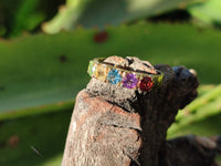 Polished Selection of 9 Carat Gold Plated Faceted Rings x 6 From Southern Africa