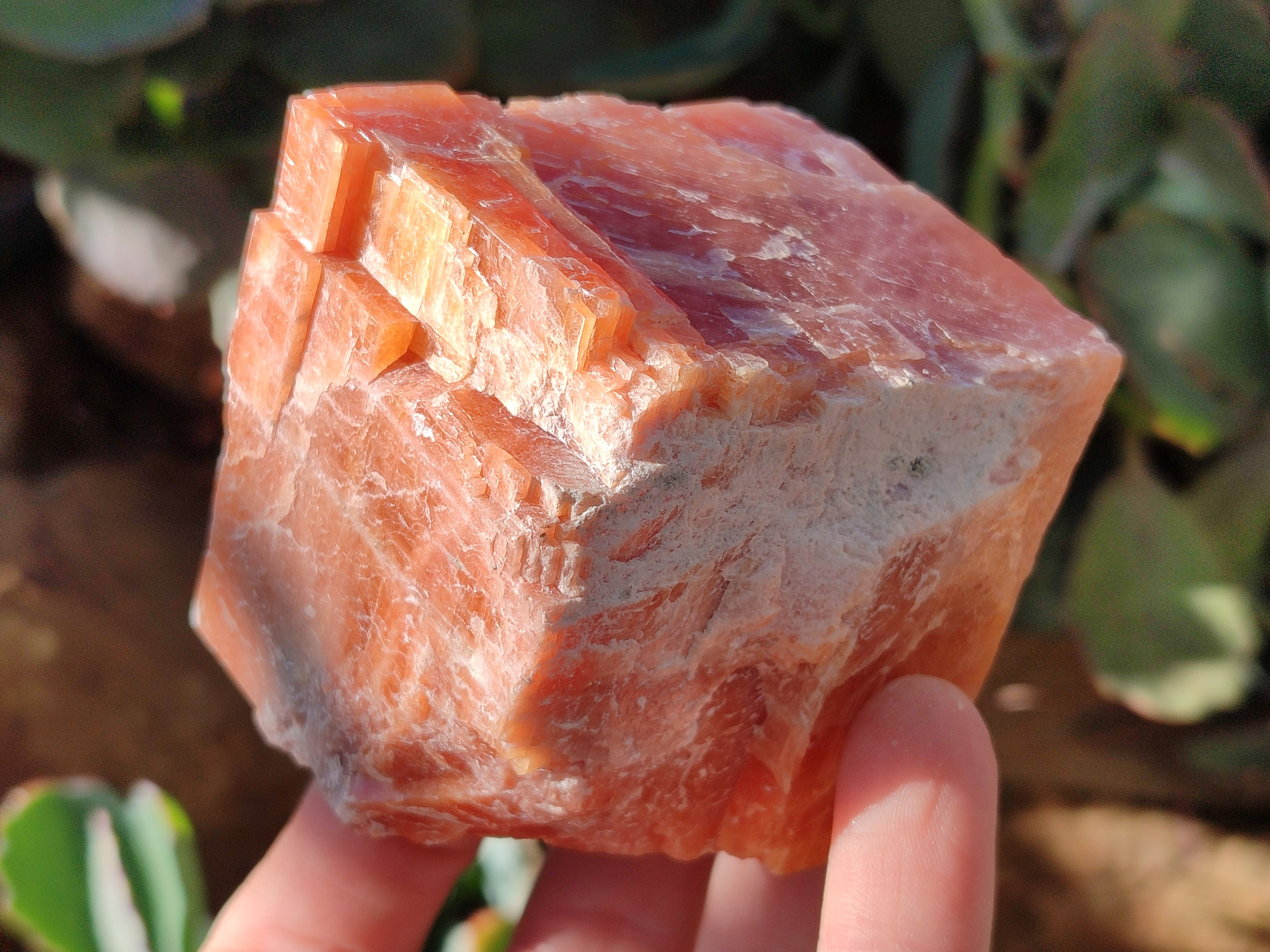 Natural Sunset Orange Rhombohedron Calcite Specimens x 6 From Spitzkop, Namibia - Toprock Gemstones and Minerals 