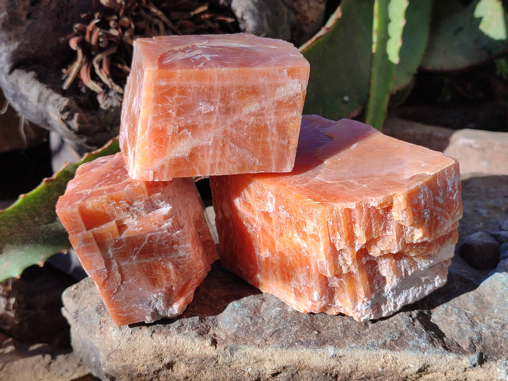 Natural Sunset Orange Rhombohedron Calcite Specimens x 6 From Spitzkop, Namibia - Toprock Gemstones and Minerals 