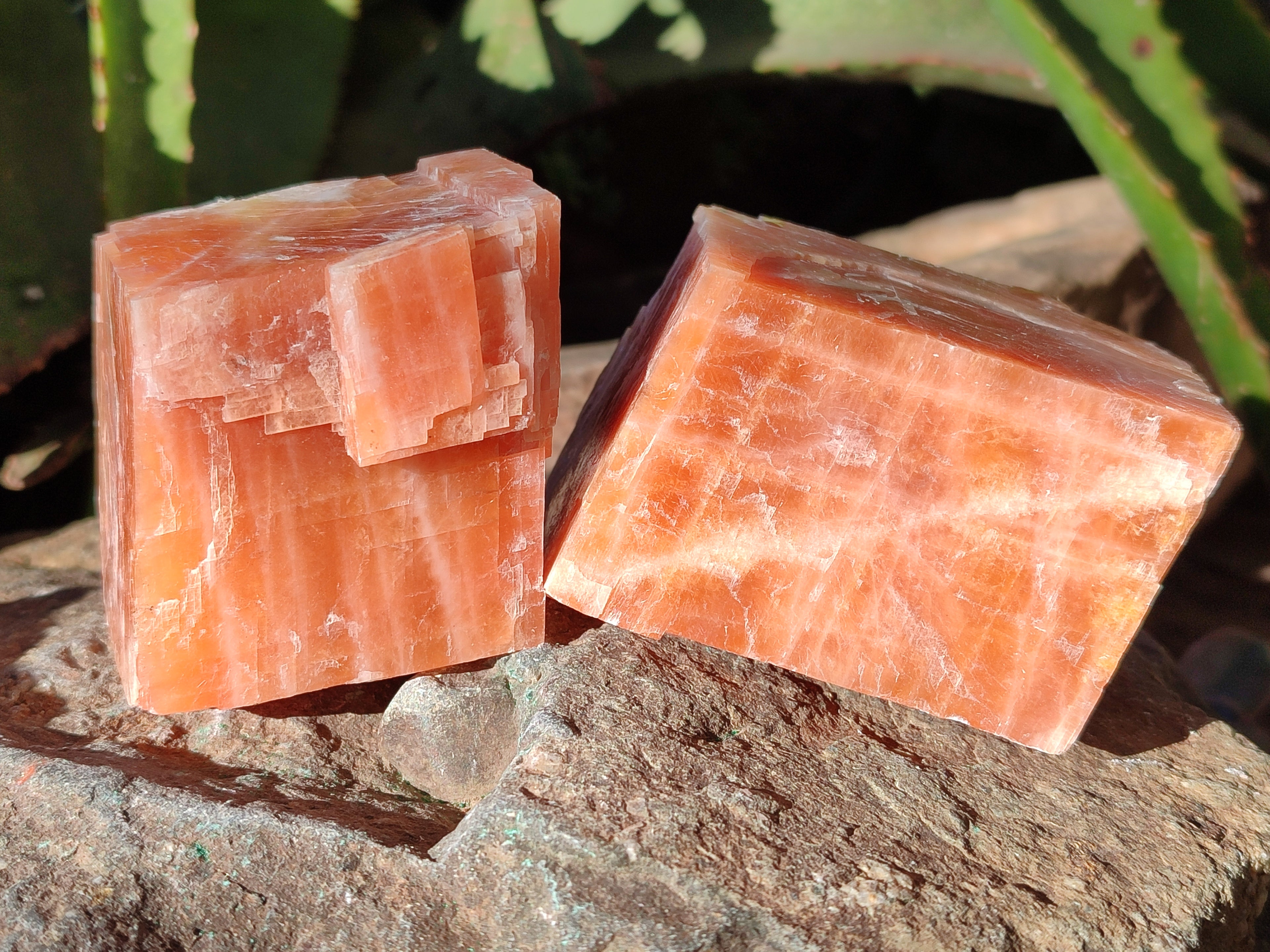 Natural Sunset Orange Rhombohedron Calcite Specimens x 6 From Spitzkop, Namibia - Toprock Gemstones and Minerals 