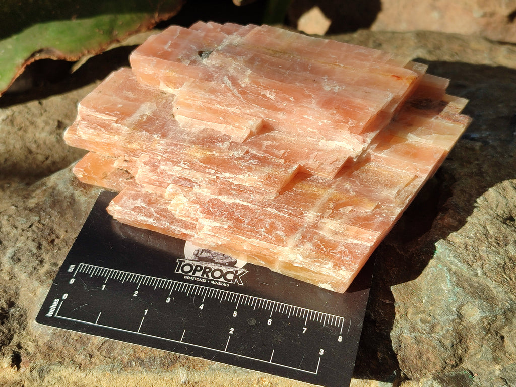 Natural Sunset Orange Rhombohedron Calcite Specimens x 6 From Spitzkop, Namibia - Toprock Gemstones and Minerals 