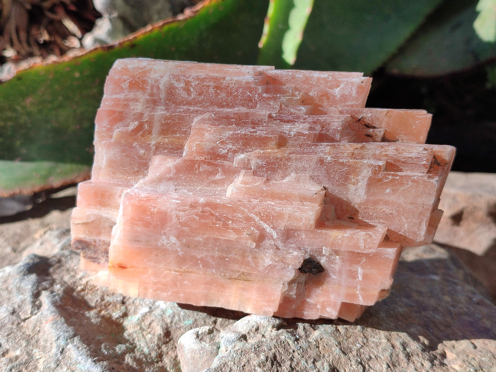 Natural Sunset Orange Rhombohedron Calcite Specimens x 6 From Spitzkop, Namibia - Toprock Gemstones and Minerals 
