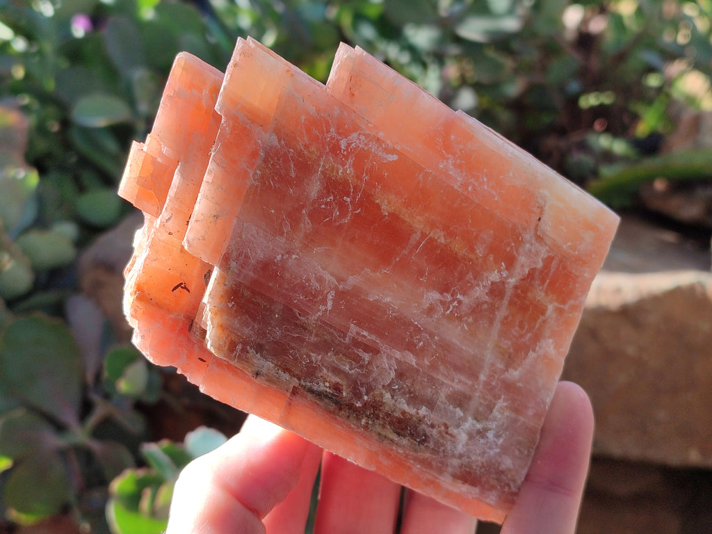 Natural Sunset Orange Rhombohedron Calcite Specimens x 6 From Spitzkop, Namibia - Toprock Gemstones and Minerals 