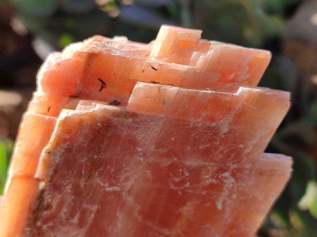 Natural Sunset Orange Rhombohedron Calcite Specimens x 6 From Spitzkop, Namibia - Toprock Gemstones and Minerals 