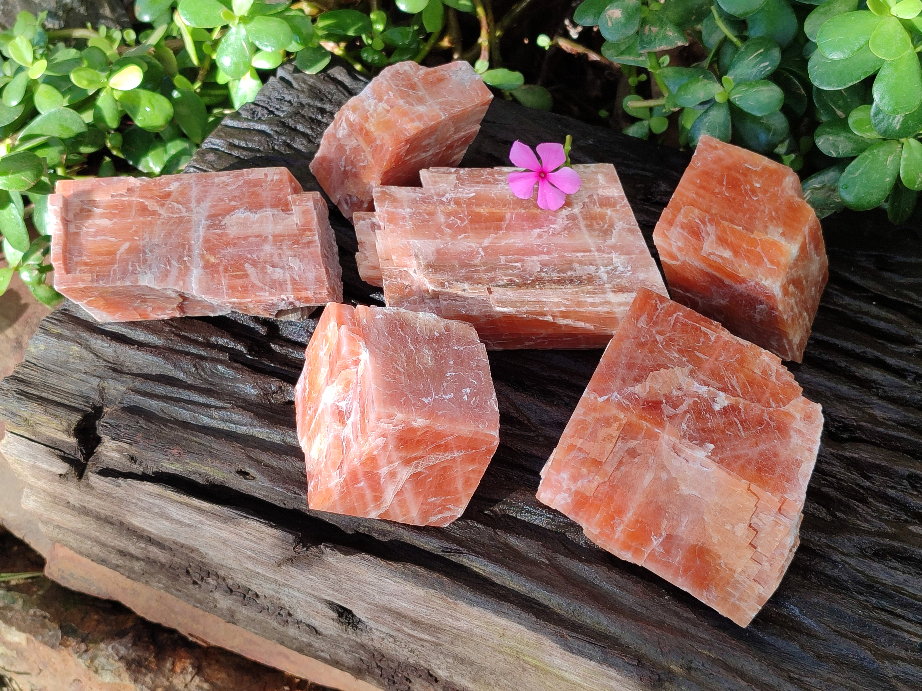 Natural Sunset Orange Rhombohedron Calcite Specimens x 6 From Spitzkop, Namibia - Toprock Gemstones and Minerals 