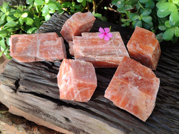 Natural Sunset Orange Rhombohedron Calcite Specimens x 6 From Spitzkop, Namibia