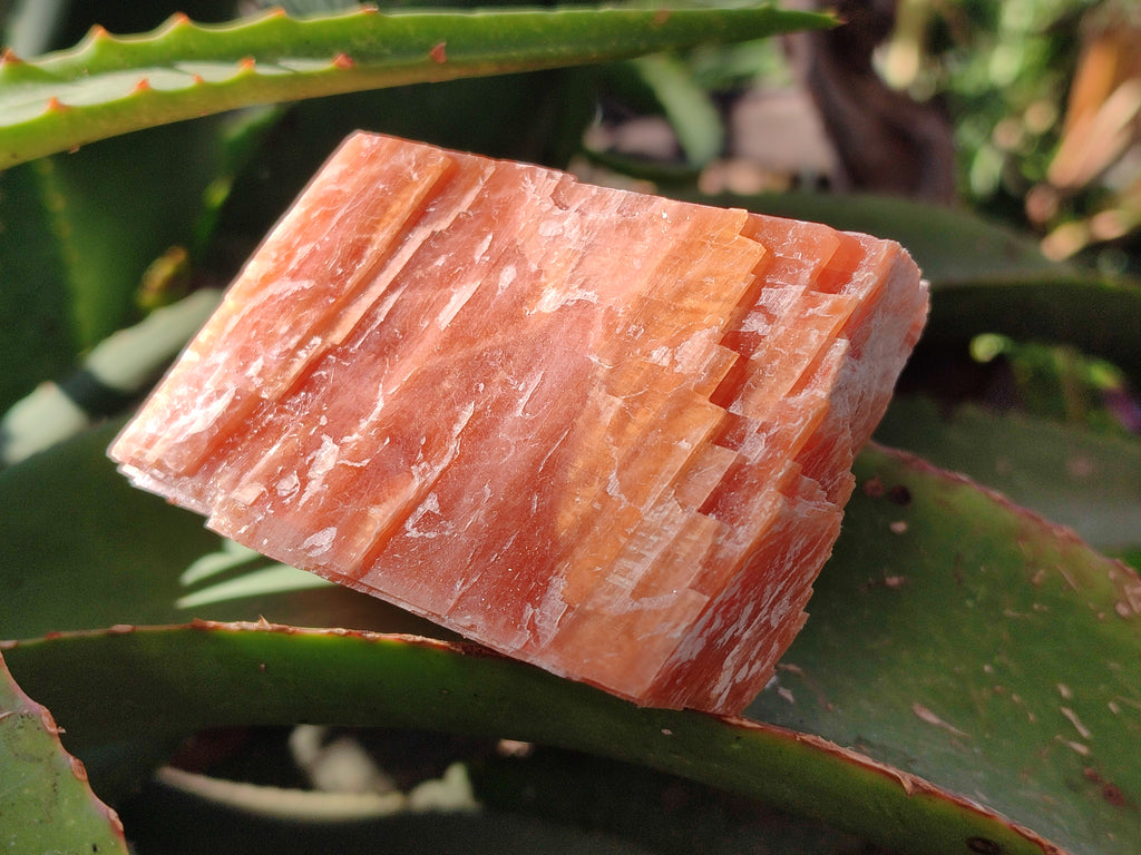 Natural Sunset Orange Rhombohedron Calcite Specimens x 6 From Spitzkop, Namibia - Toprock Gemstones and Minerals 